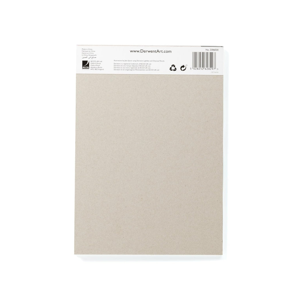 DERWENT Mixed Toned Paper Pad A5, 120gsm, 20 Sheets, Double-Sided Smooth & Te...